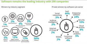 deloitte saas