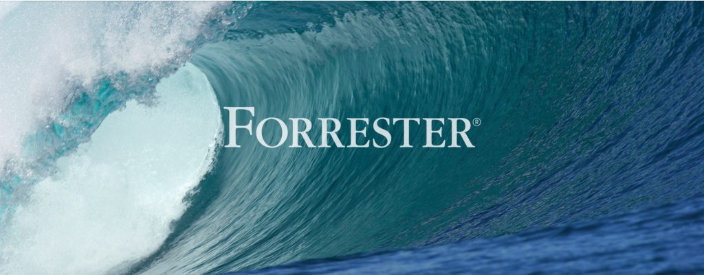 Access The Full Forrester Wave Report 2014 Denetim Rehberi